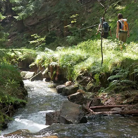 Fh Am Osterbrunnen 3* Hinterhermsdorf