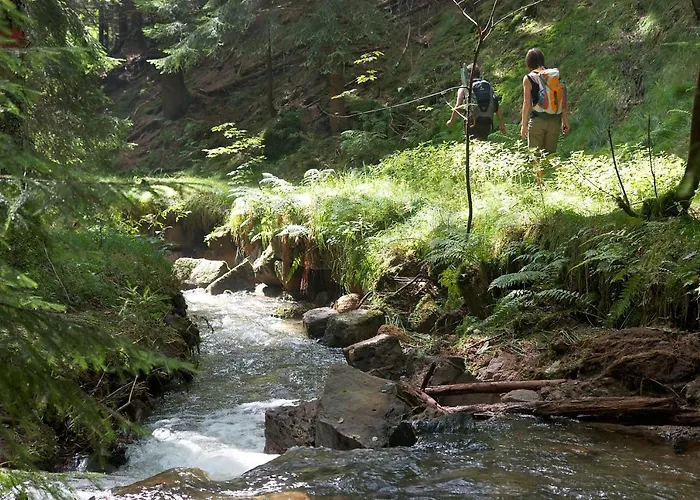 Fh Am Osterbrunnen 3* Hinterhermsdorf